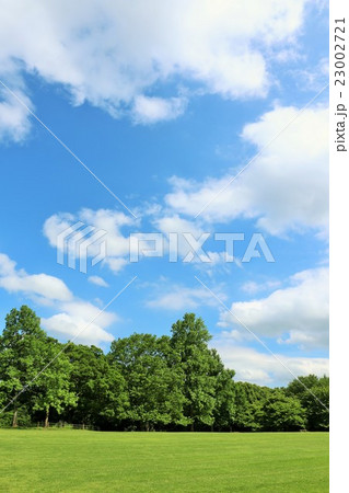 綺麗な夏の青空と公園風景の写真素材