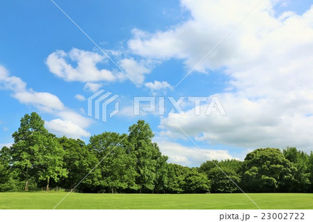 綺麗な夏の青空と公園風景の写真素材