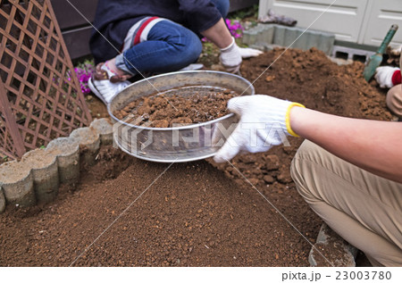 家庭菜園 23003780