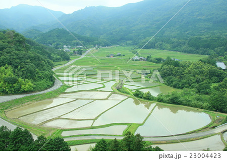 田染荘 田染荘 23004423