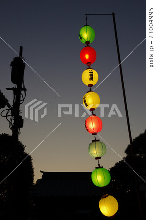 川越の提灯 川越の提灯 23004995