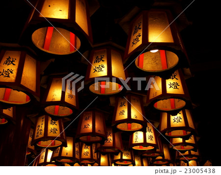 献灯 献灯 23005438