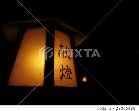 献灯 献灯 23005439