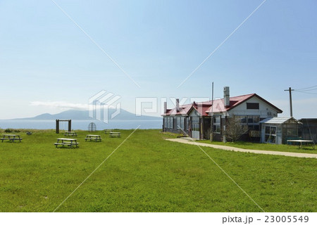 絶景礼文島、利尻富士をのぞむ 23005549