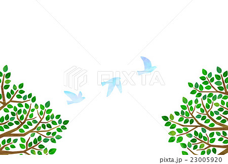 木と羽ばたく鳥のイラスト素材