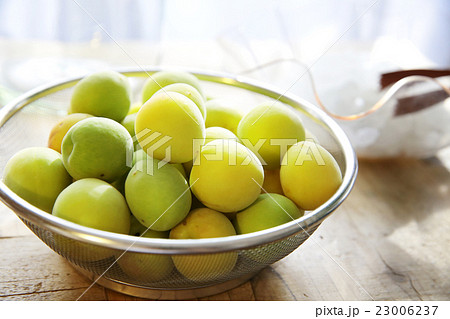 梅酒作り　イメージ 23006237