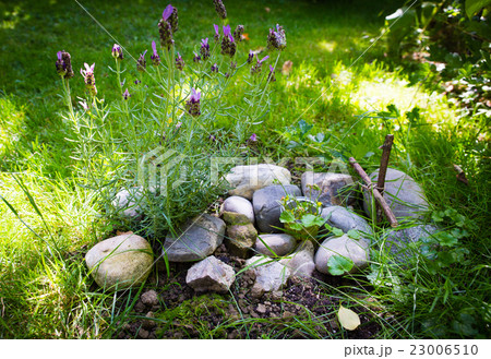 Pet Grave Decorated With Stones And branch cross 23006510