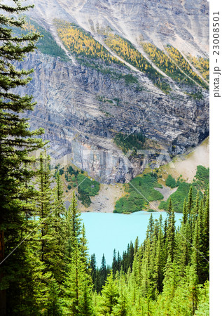 カナディアンロッキー 秋のレイク・ルイーズ カナディアンロッキー 秋のレイク・ルイーズ 23008501