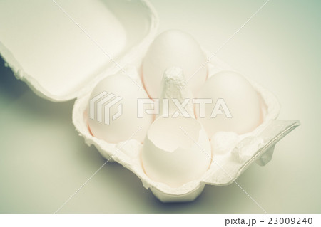 タマゴ 23009240