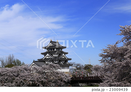 4月 桜の墨俣城 木下藤吉郎秀吉の一夜城ーの写真素材