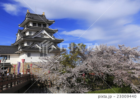 4月 桜の墨俣城 木下藤吉郎秀吉の一夜城ーの写真素材