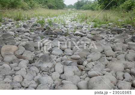渡良瀬川  水不足 23010365