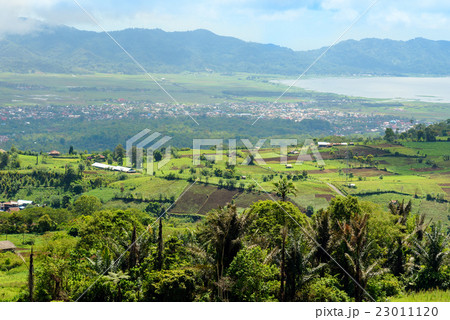 View of farm terrace and Tomohon town View of farm terrace and Tomohon town 23011120