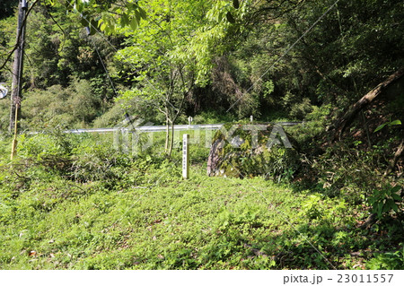 長崎街道 23011557