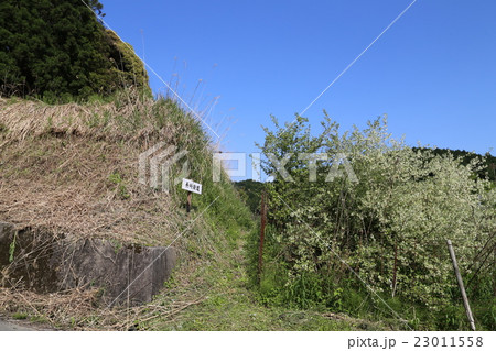 長崎街道 23011558