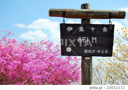 伊豆ヶ岳の山頂標識 23012172