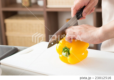 ライフスタイルイメージ ライフスタイルイメージ 23012516