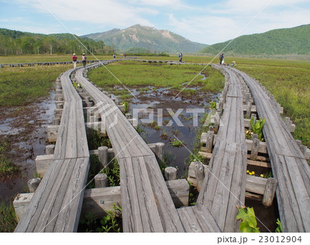 初夏の尾瀬ヶ原 23012904