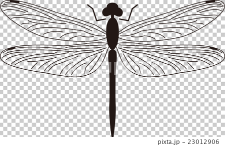 Dragonfly Black And White Stock Illustration