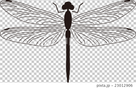 Dragonfly Black And White Stock Illustration