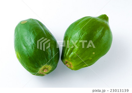 青パパイヤ 23013139