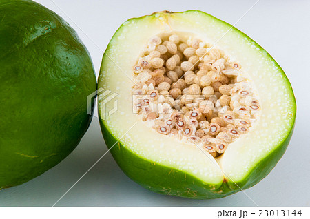 青パパイヤ 青パパイヤ 23013144