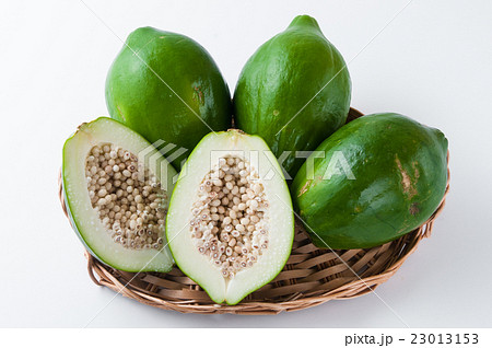 青パパイヤ 23013153