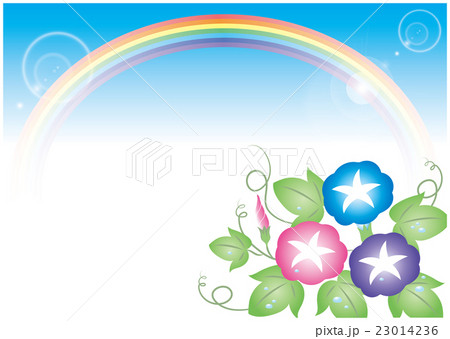 アサガオと虹のイラスト素材