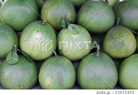 Pomelo or pummelo Pomelo or pummelo 23015955