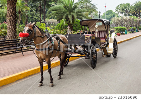 Carriage in Intramuros 23016090