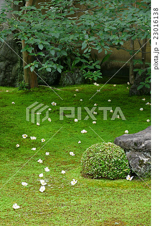 沙羅双樹の庭園　東林院 23016138