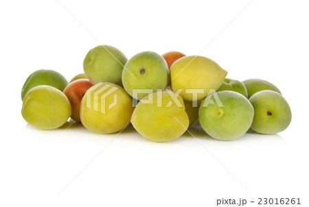 fresh young apricot on white background 23016261