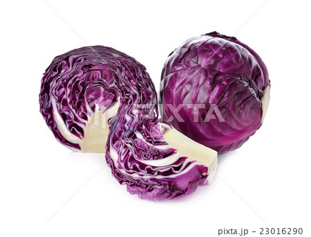whole and cut fresh red cabbage on white whole and cut fresh red cabbage on white 23016290