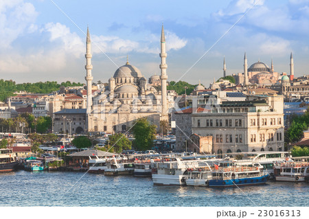 The New Mosque The New Mosque 23016313