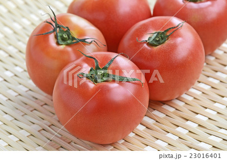 トマト トマト 23016401