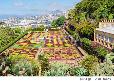 Botanical Gardens Madeira 23016825