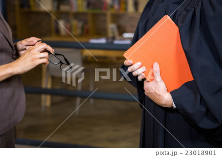 Lawyer holding a law book Lawyer holding a law book 23018901