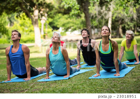 Fitness class practicing yoga Fitness class practicing yoga 23018951