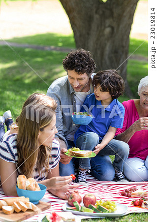 Smiling family having a picnic 23019814