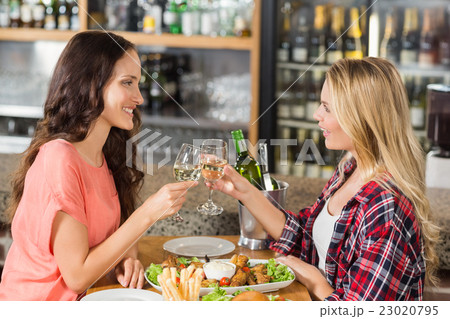 Women toasting with white wine 23020795