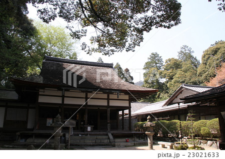 三井寺 23021633