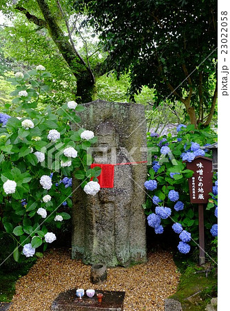 紫陽花とお地蔵さん 23022058