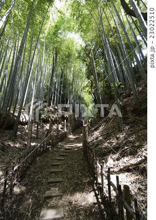 佐倉　ひよどり坂 23022510