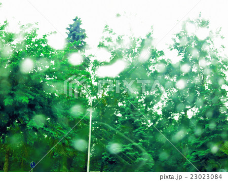 緑雨の景色の写真素材