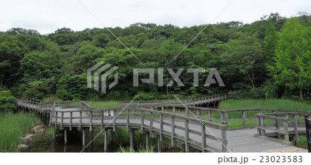 甲山森林公園なかよし池2の写真素材 甲山森林公園なかよし池2の写真素材