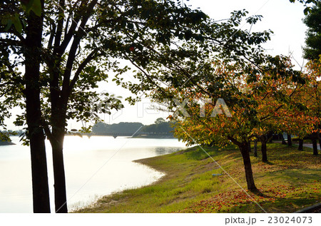 紅葉の公園 23024073