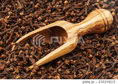 Clove Hole Madagascar Stock Photo
