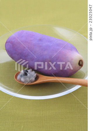 アケビ アケビ 23025047