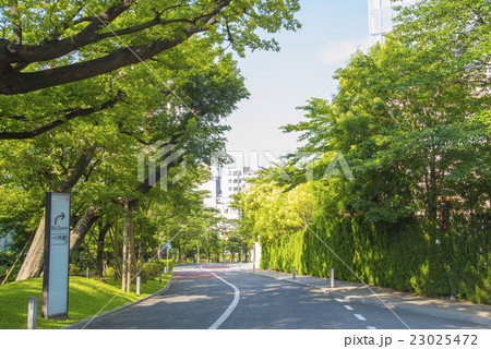 赤坂サカス西側を通るさくら坂（東京都港区） 23025472