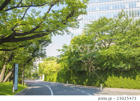 赤坂サカスの西側を通るさくら坂（東京都港区） 23025473